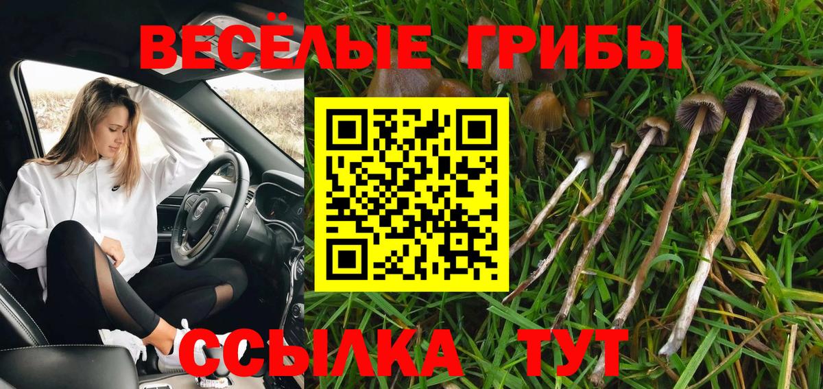Томск  Псилоцибиновые грибы MAGIC MUSHROOMS  Вход с VPN  Галлюциногенные грибы Cubensis 